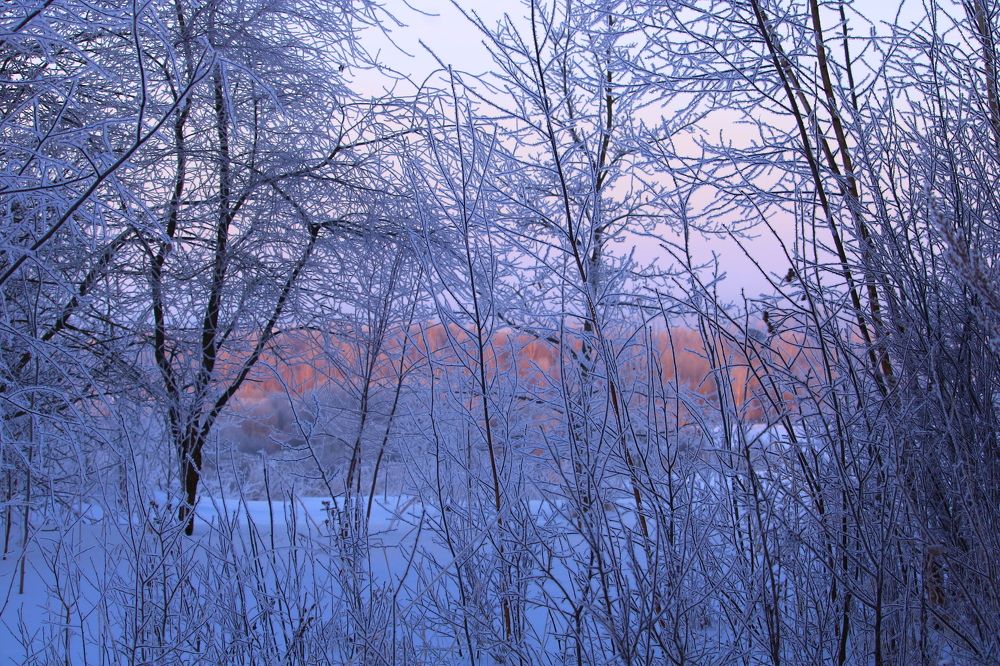 Photograph by Алексей Егоров