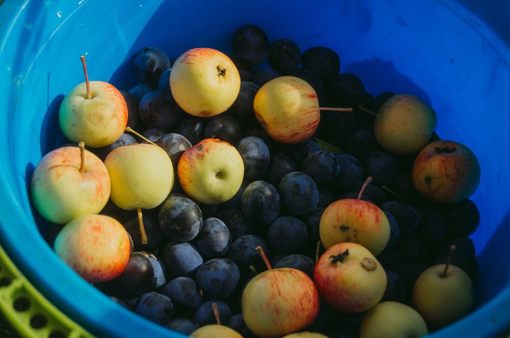 Фотография автора Мария Михайлова