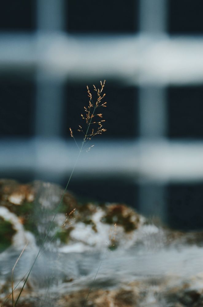 Photograph by Алёна Петрова