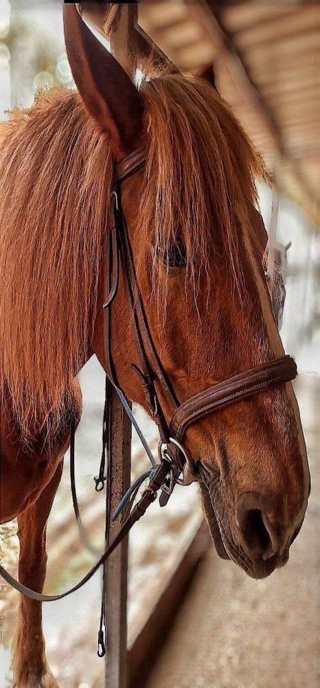 Photograph by Елена Бородулина