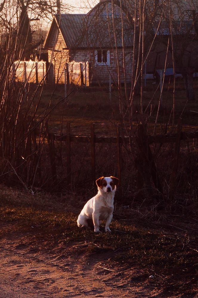 Фотография автора Татьяна