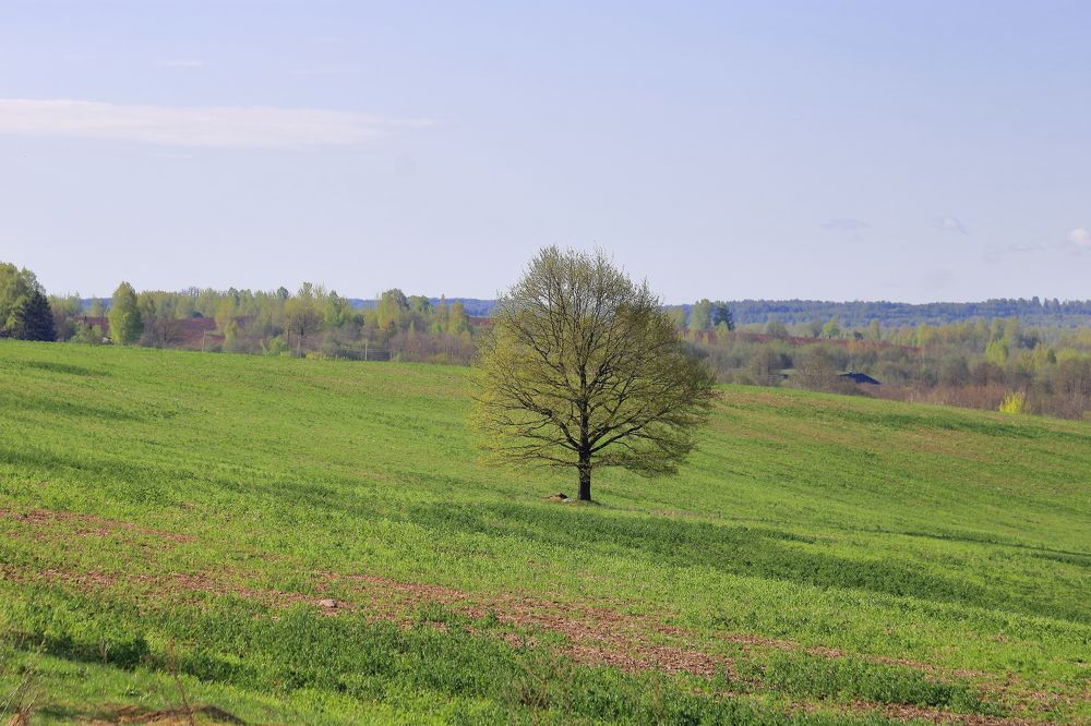 Photograph by Алексей Егоров