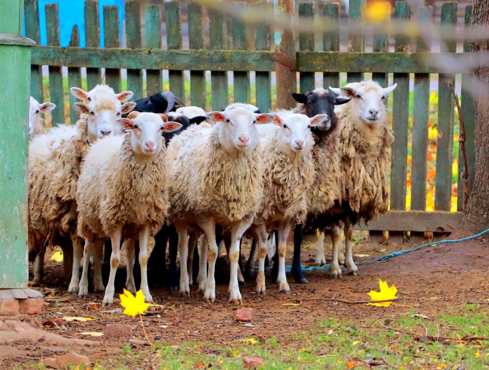 Фотография автора Татьяна