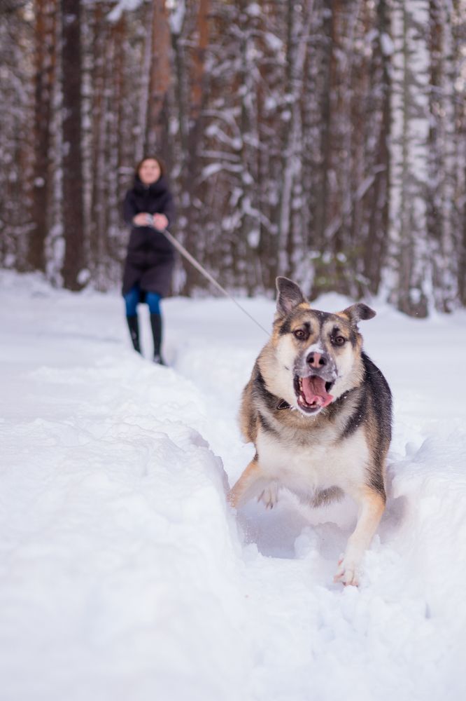 Фотография автора Ольга Степанова