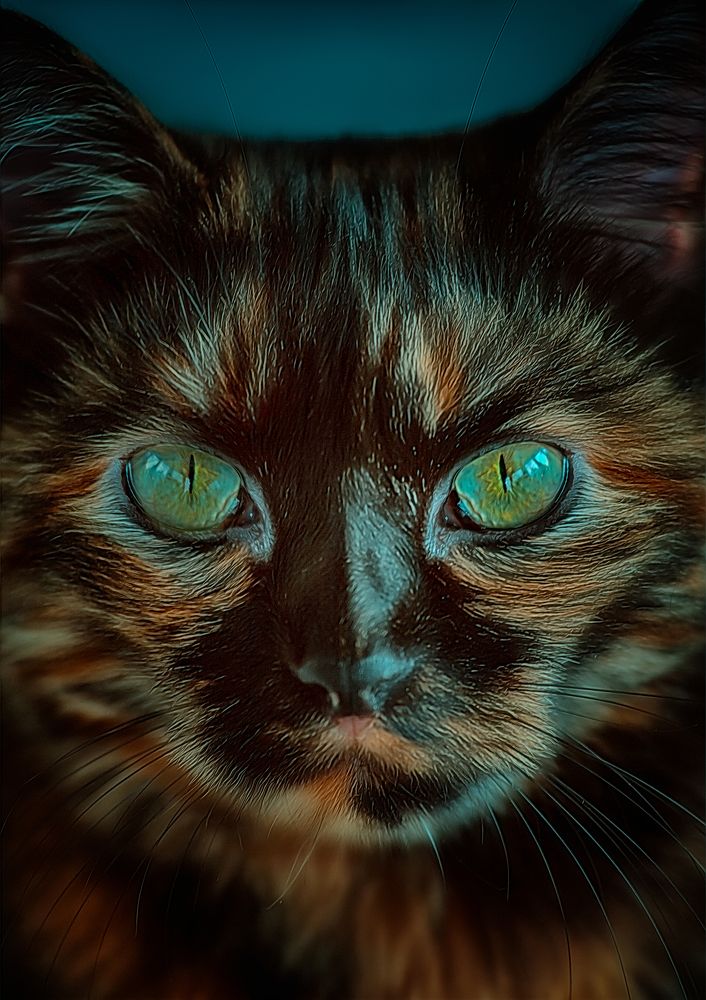 Photograph by Игорь Хижняк