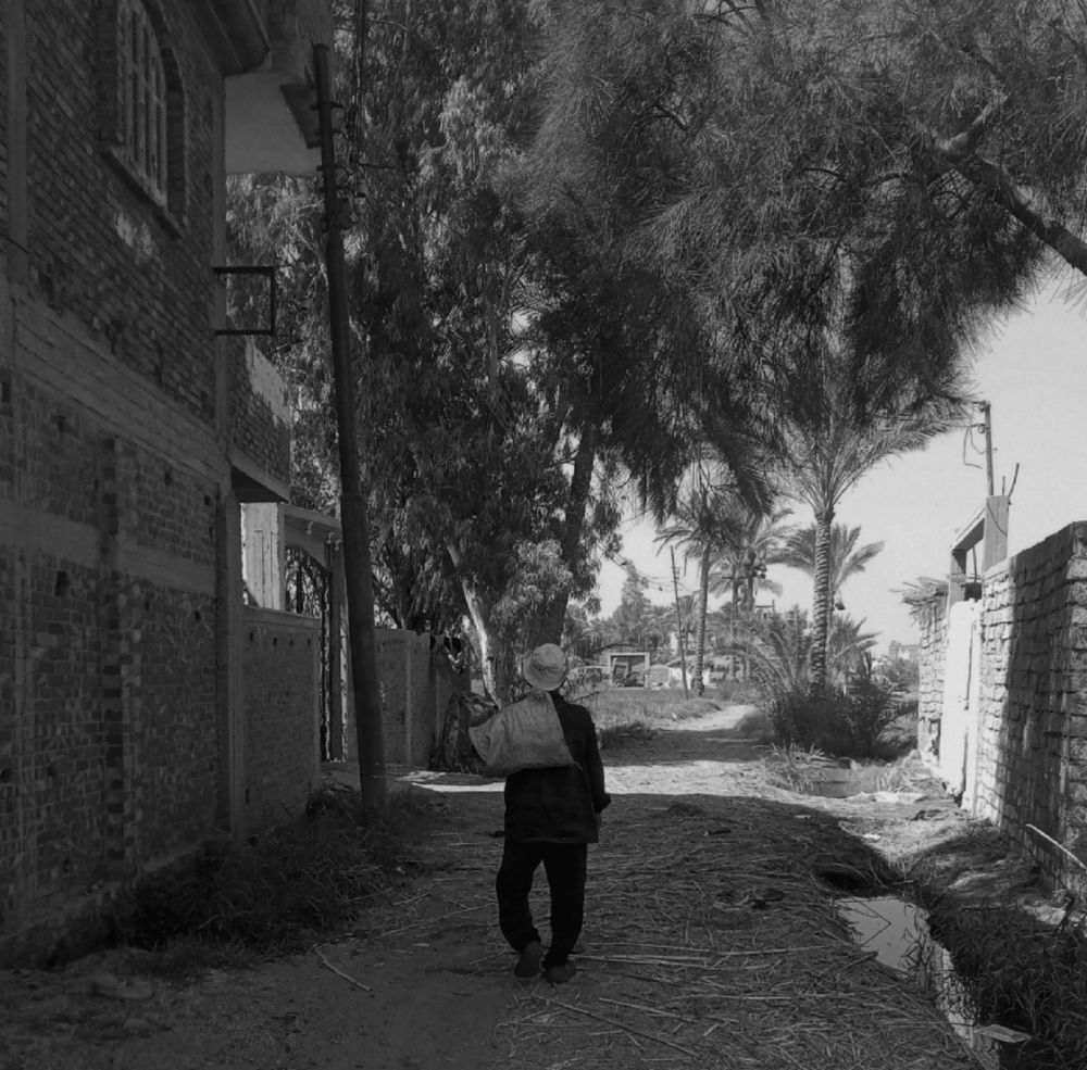 Photograph by على اشرف محمد عبد الجواد شعبان