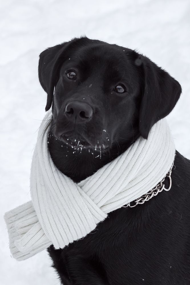 Photograph by Ольга Осинина