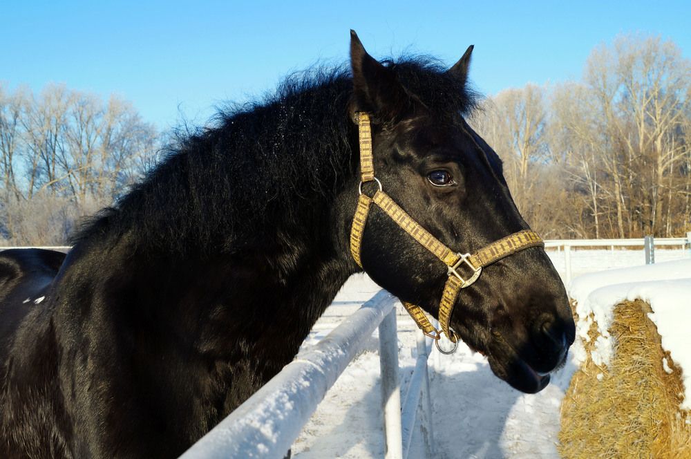 Photograph by Мишустина Татьяна