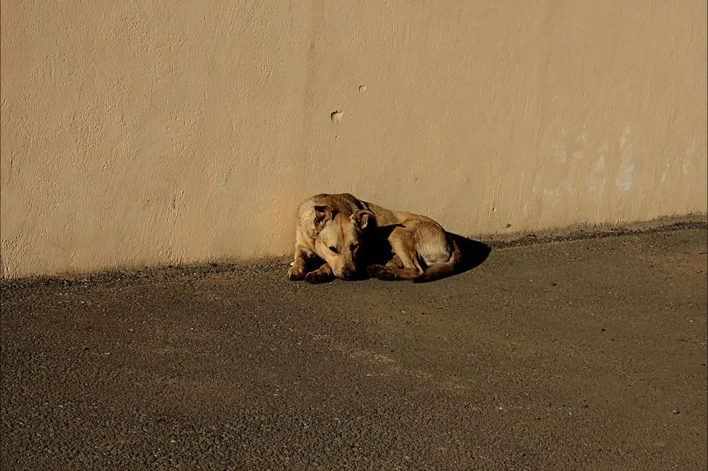 Одиночество