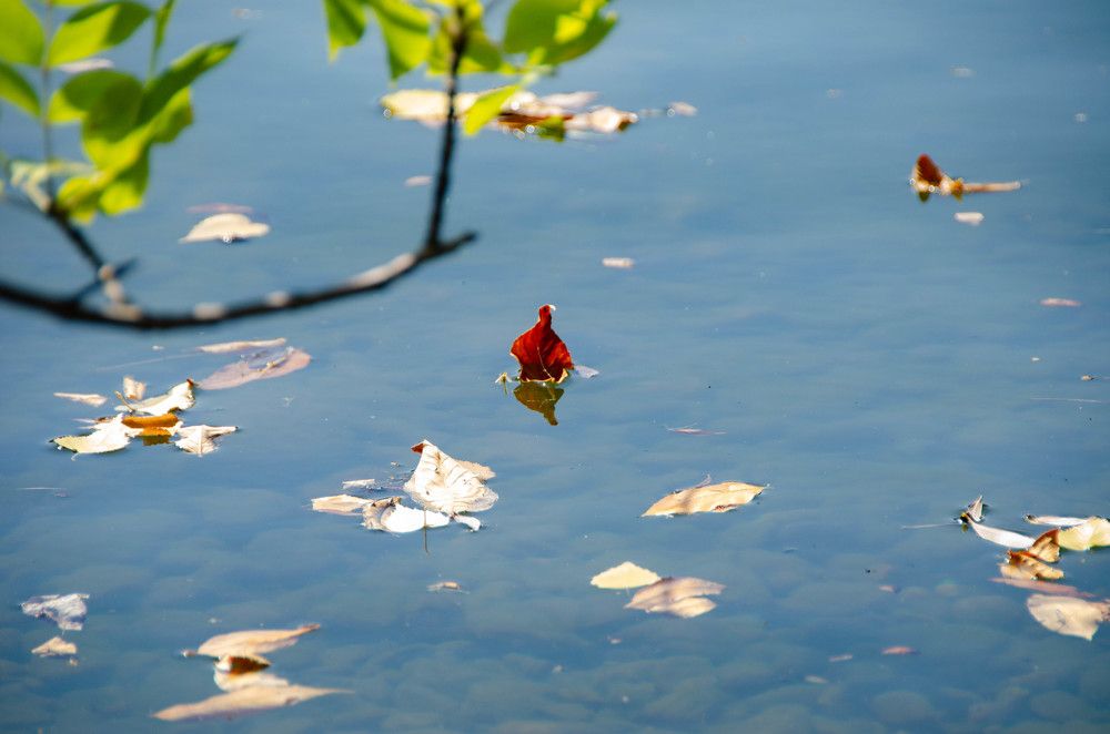 Photograph by Дмитрий Потапов