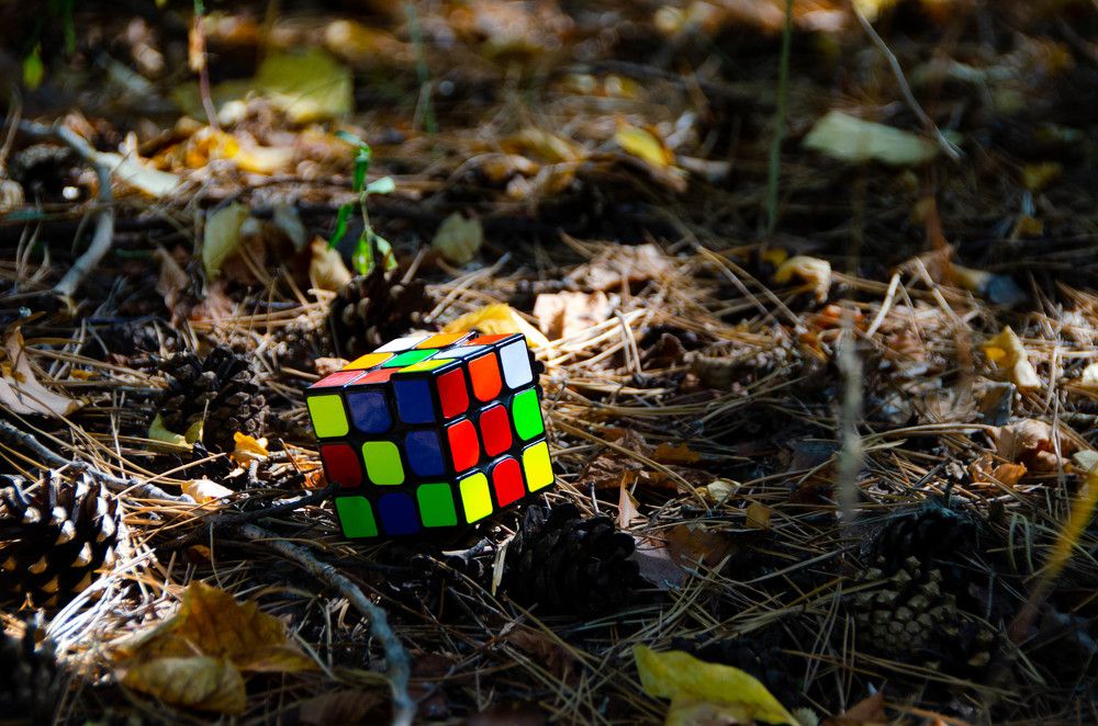 Photograph by Дмитрий Потапов