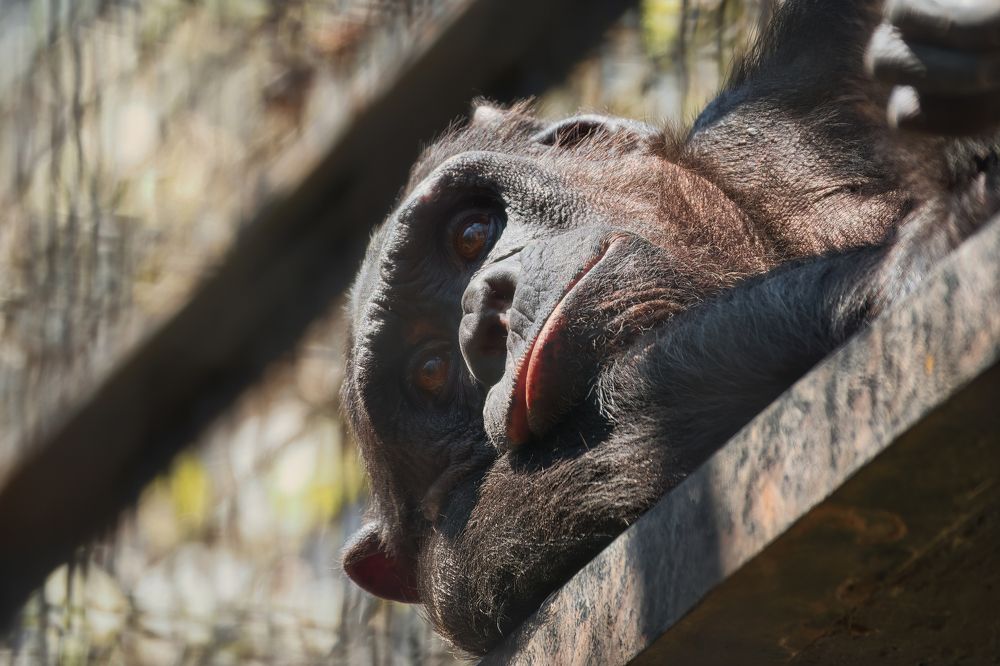 Photograph by Дудников Александр