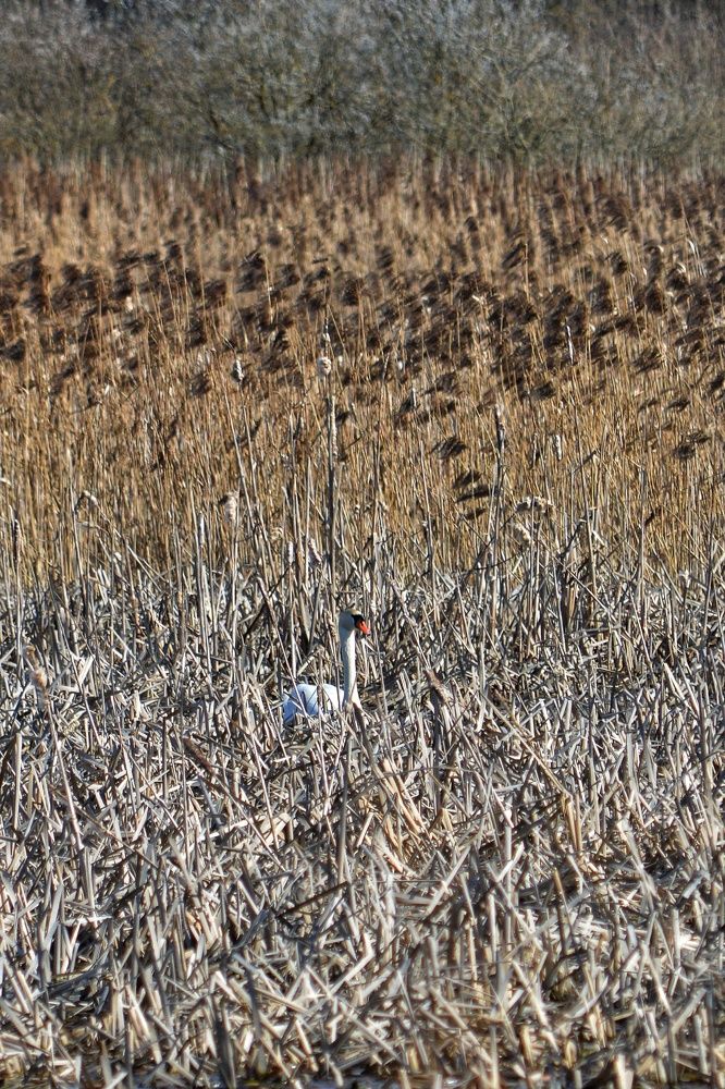 Photograph by Анна Зорька