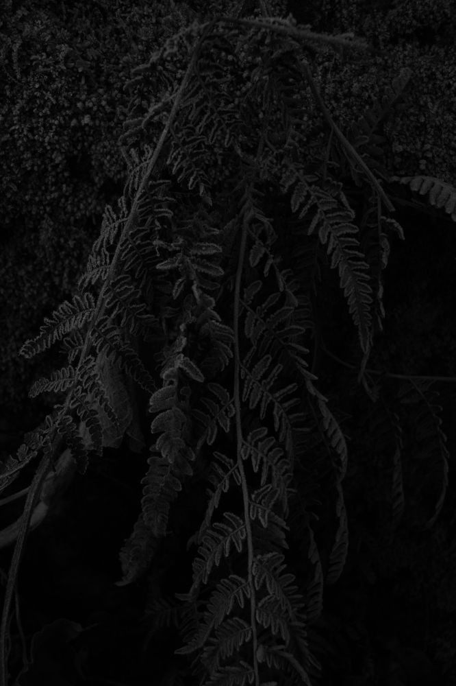 Photograph by Валерия Николаева