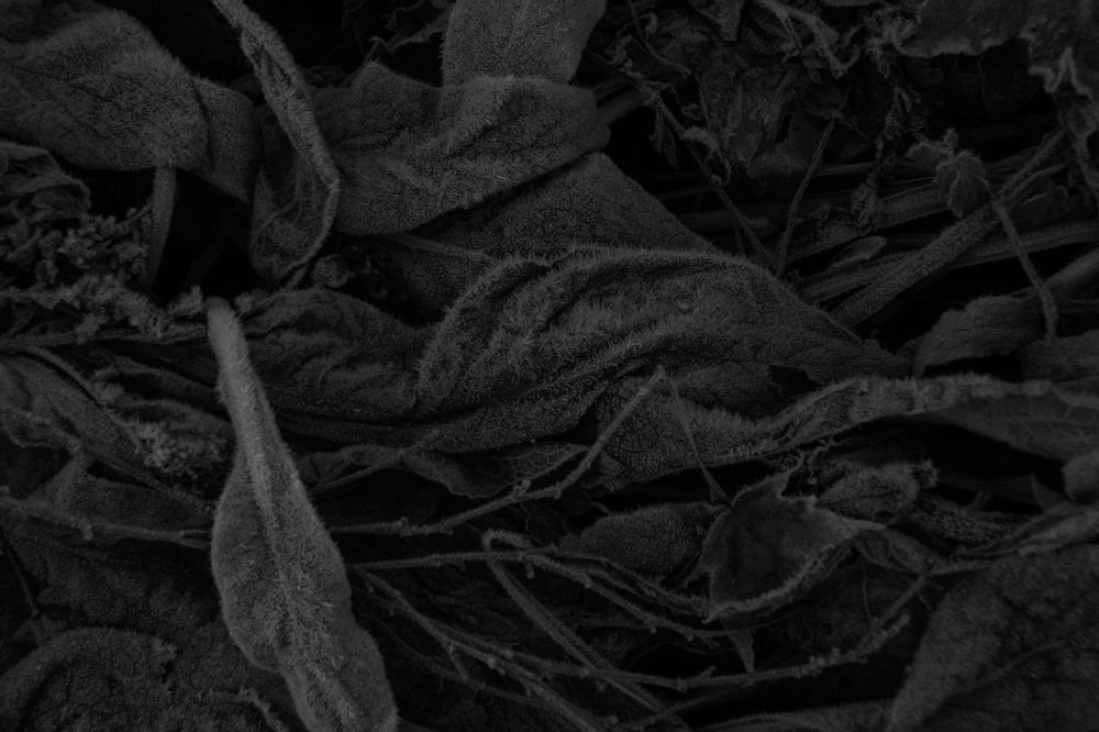 Photograph by Валерия Николаева