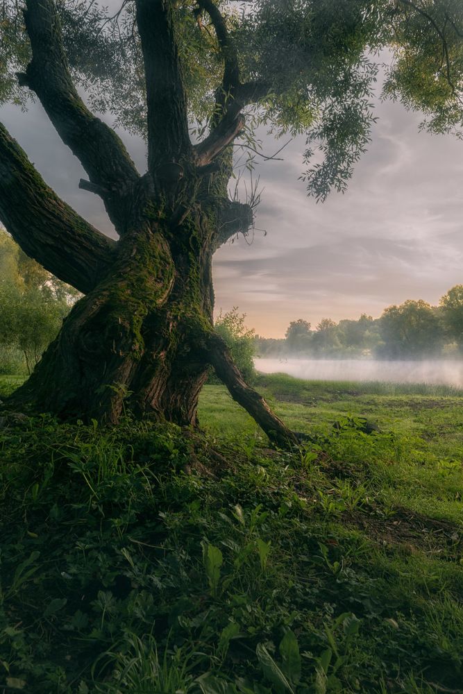 Photograph by Silyavin Nikita