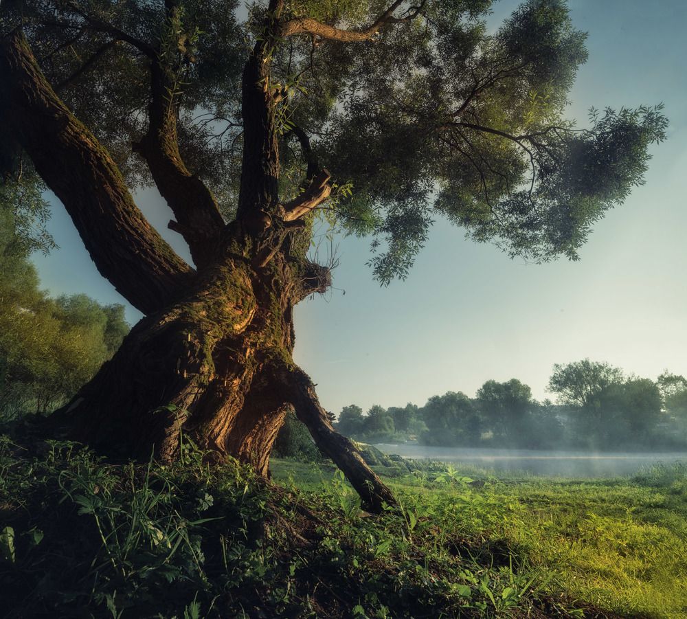 Photograph by Silyavin Nikita