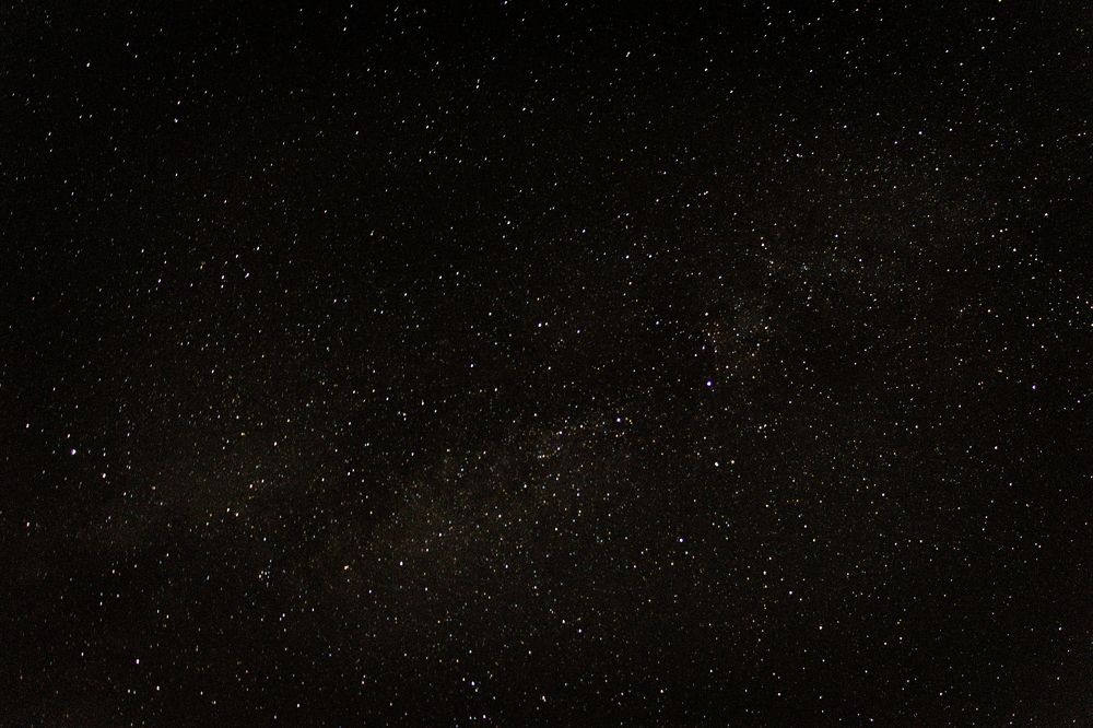 Photograph by Oleg Novikov