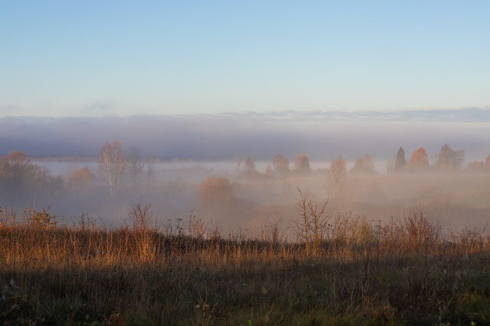 Photograph by Алексей Егоров