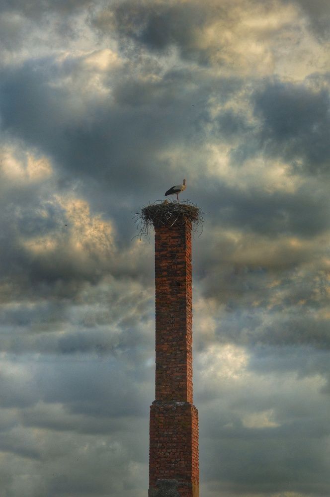 Photograph by Анна Зорька