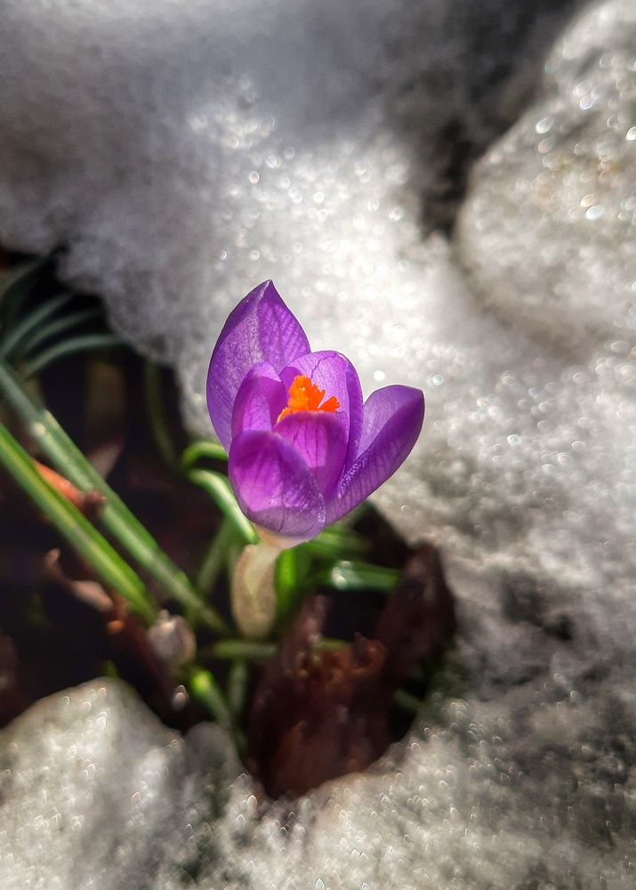 Photograph by Юлия Коробкова