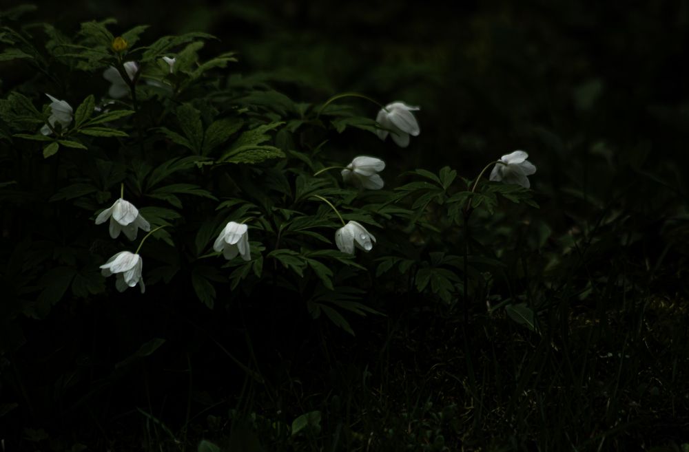 Photograph by Алексей Егоров