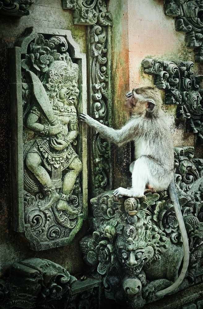 Photograph by Кирилл Леднев