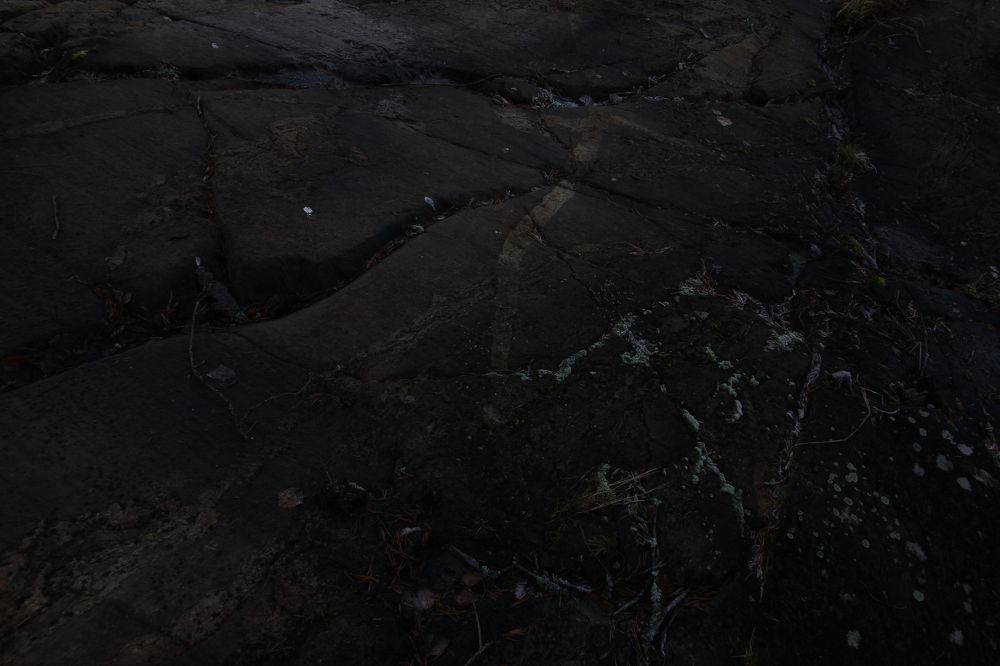 Photograph by Валерия Николаева