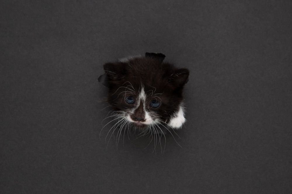 Photograph by Галина Сычева