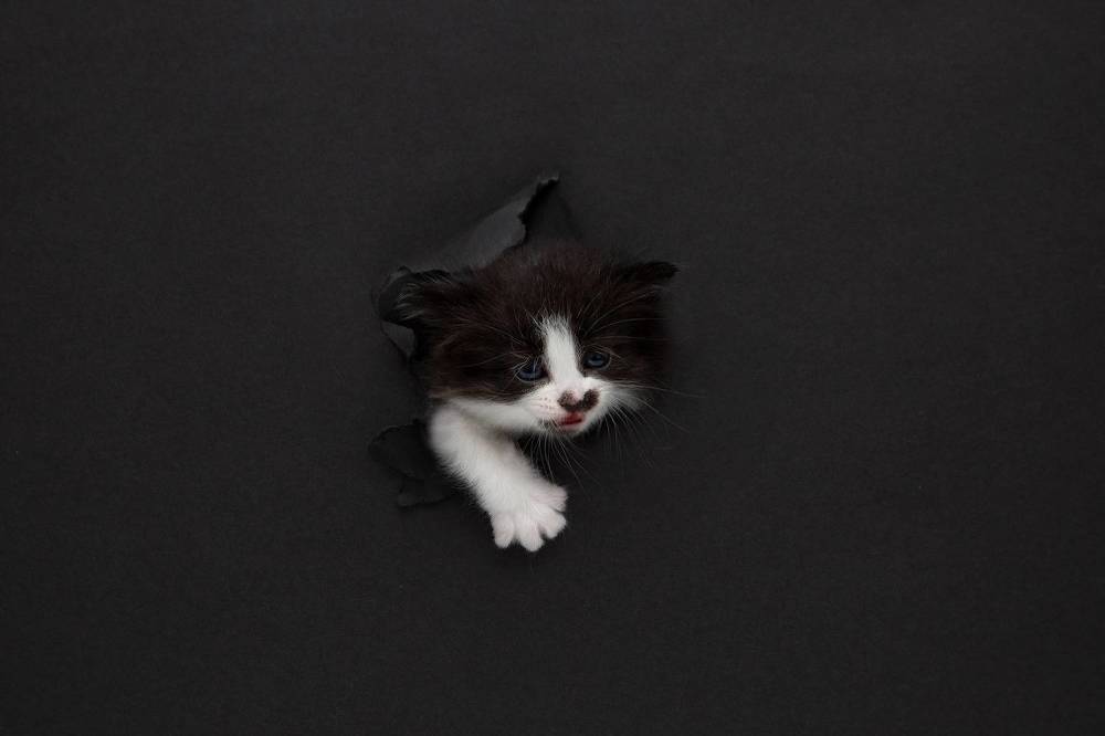 Photograph by Галина Сычева