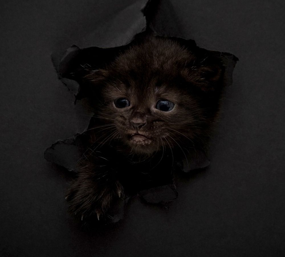 Photograph by Галина Сычева