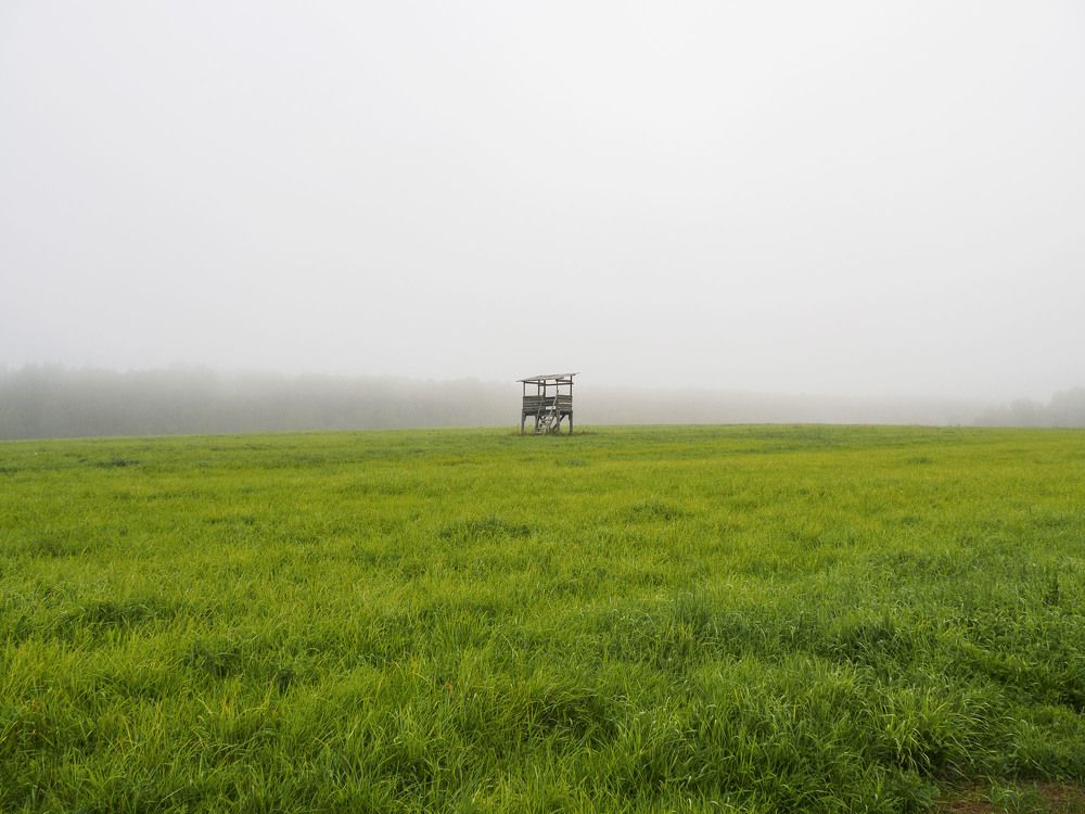 Photograph by Борис Полтавец