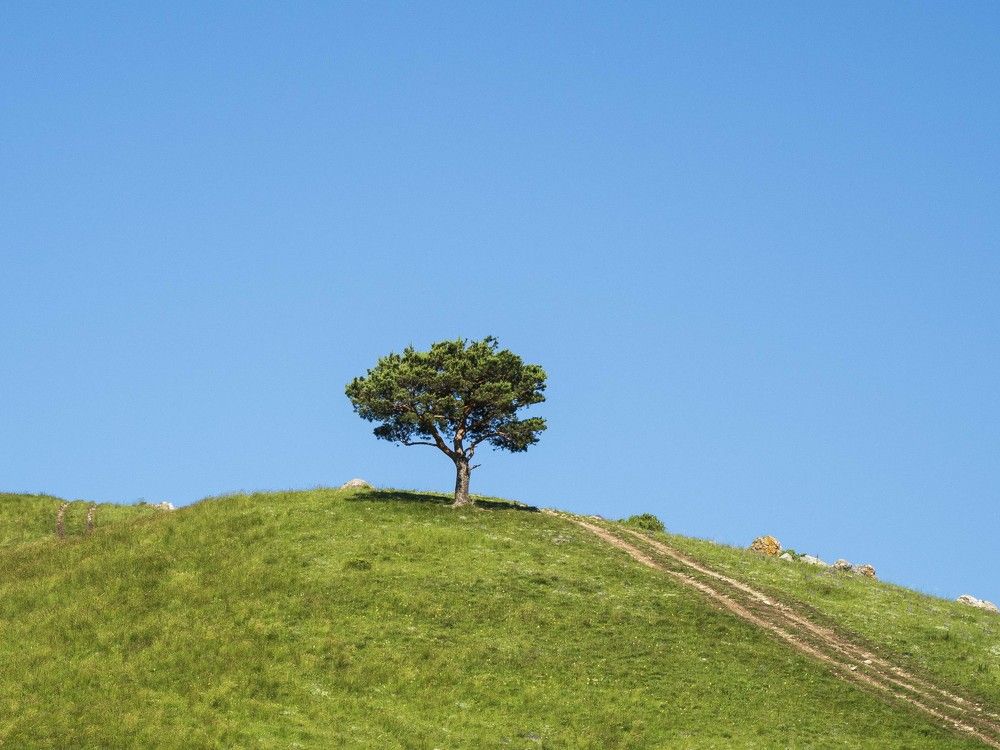 Photograph by Борис Полтавец