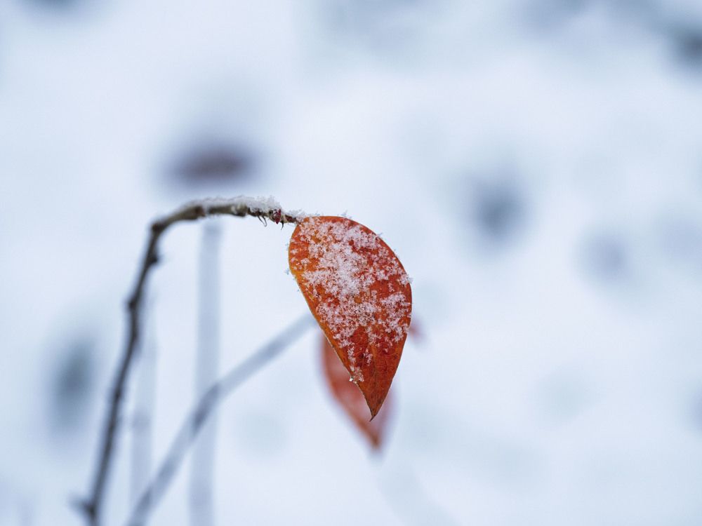 Photograph by Борис Полтавец