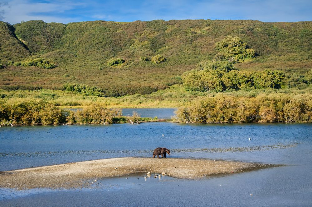 Фотография автора Галина Шепелева