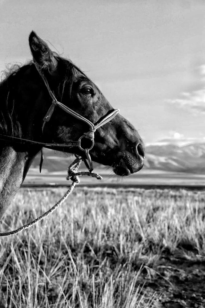 Photograph by Татьяна Кужлекова