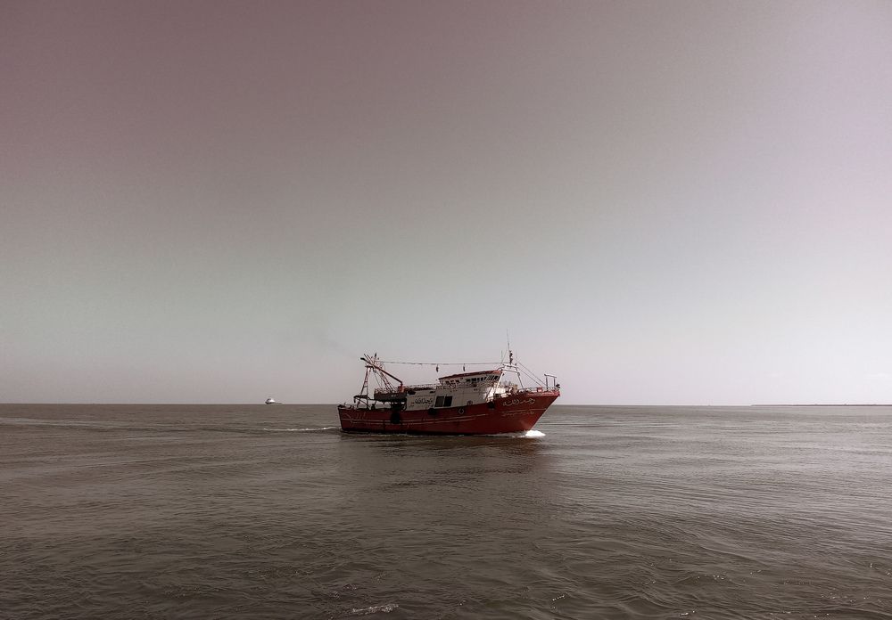 Photograph by على اشرف محمد عبد الجواد شعبان