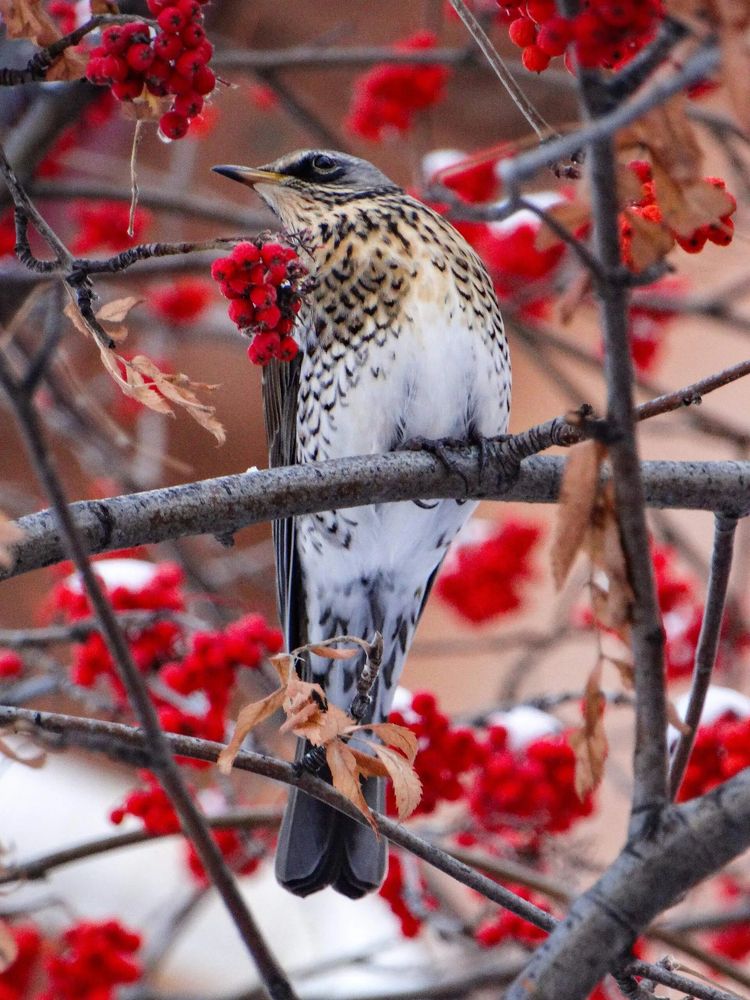 Photograph by Анжелика Трошина