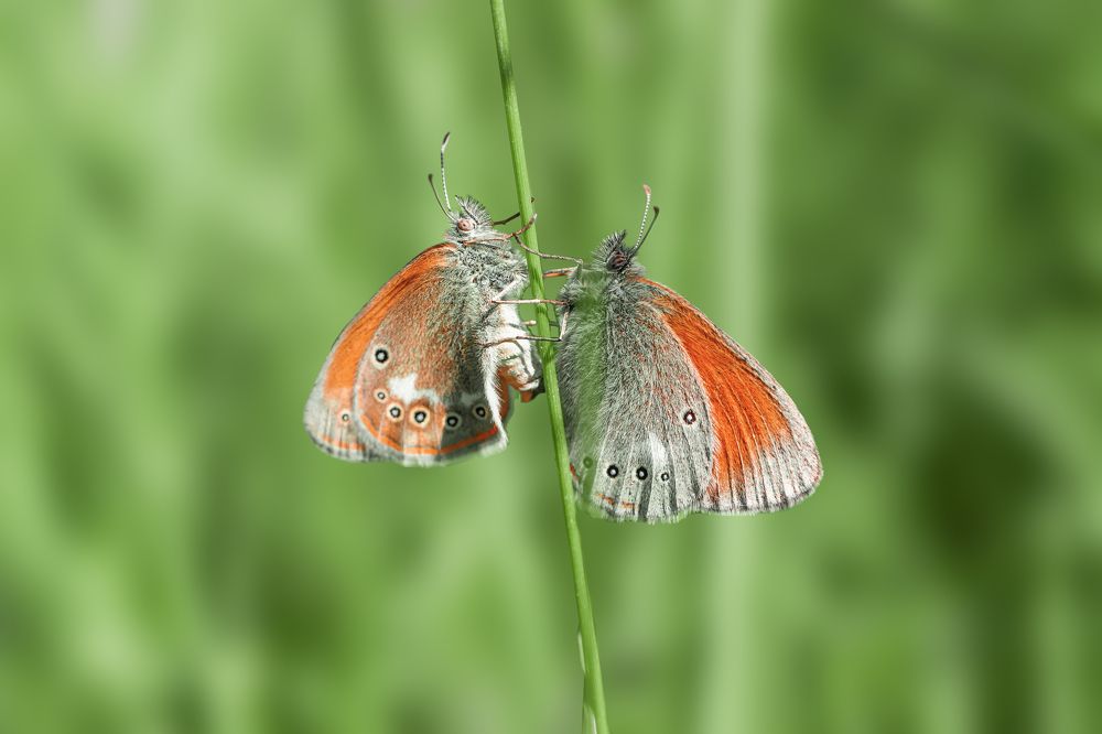 Photograph by Дмитрий Муравьев