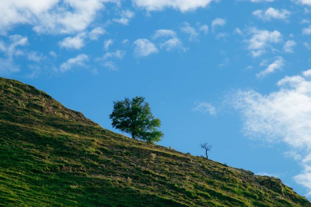 Photograph by Никита Павлов