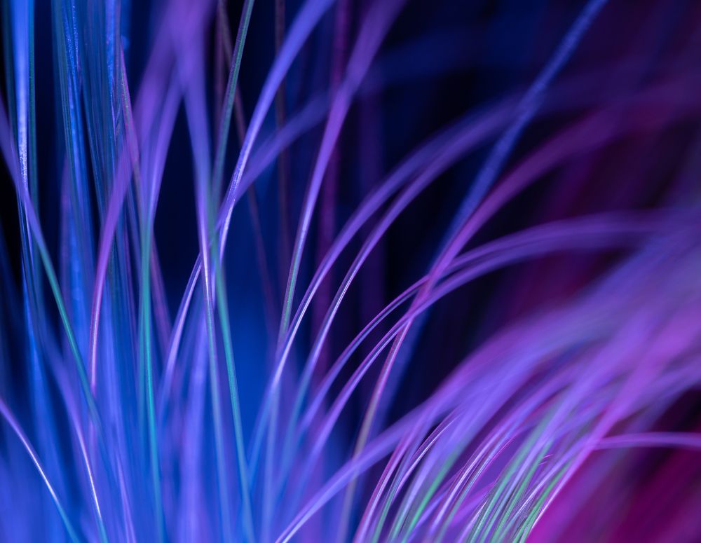 Photograph by Степан Ковыльчик