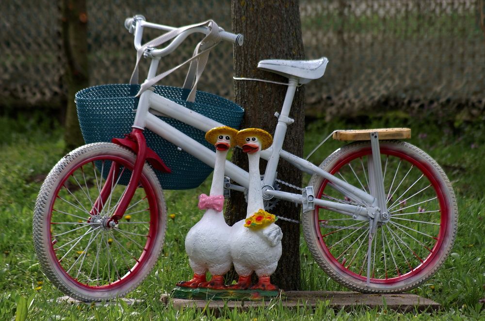 Photograph by Анатолий Святой