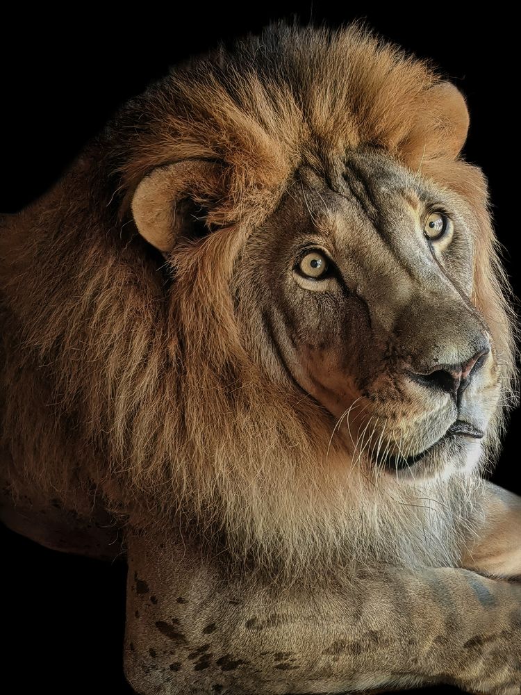 Photograph by Дудников Александр