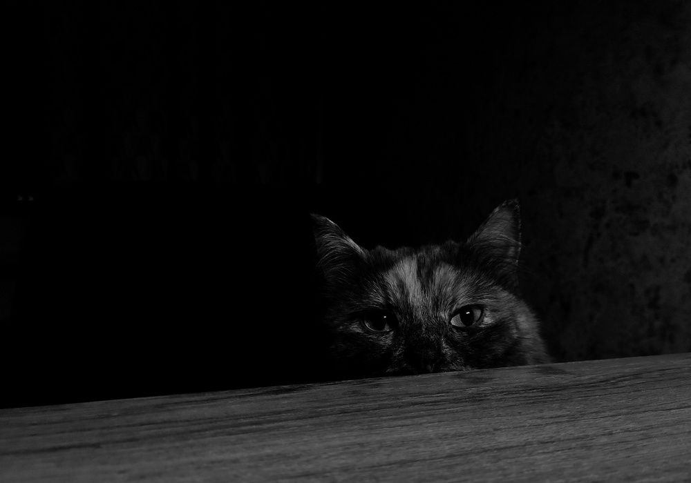 За вами следят!