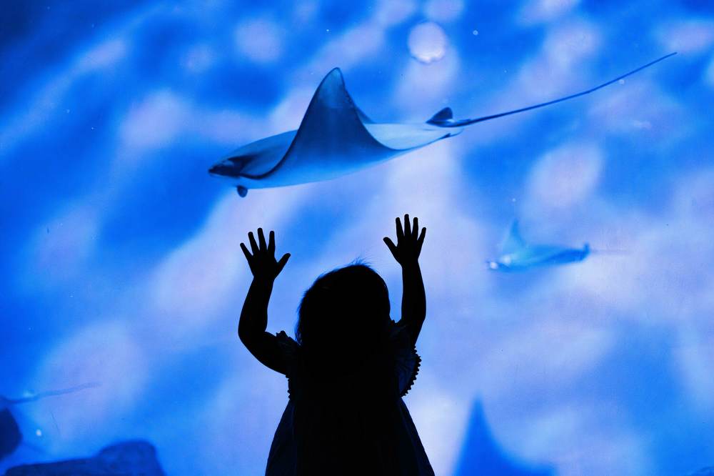 Photograph by Ni Bruce