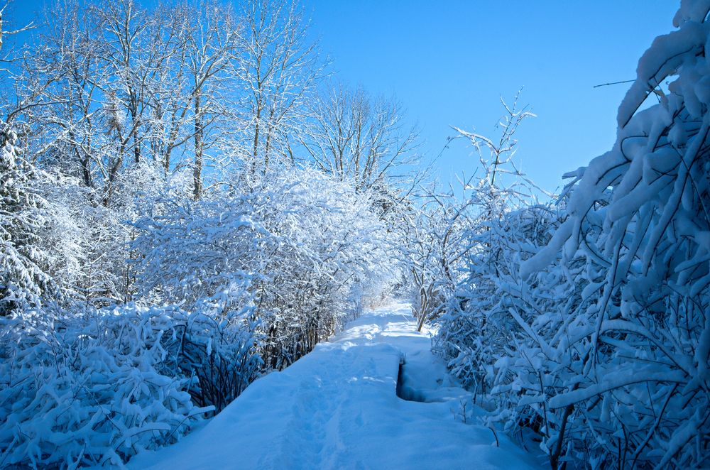 Photograph by Ken Oliver