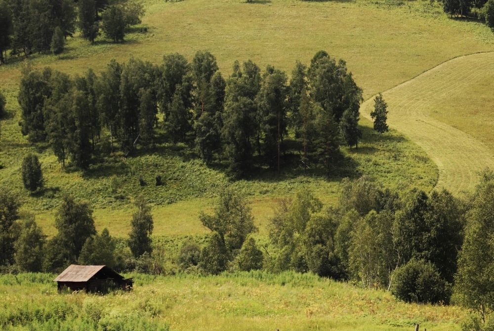 Photograph by Татьяна Кужлекова