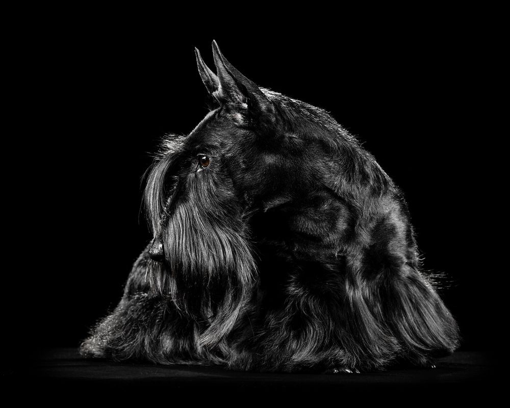 Photograph by Оксана Серова