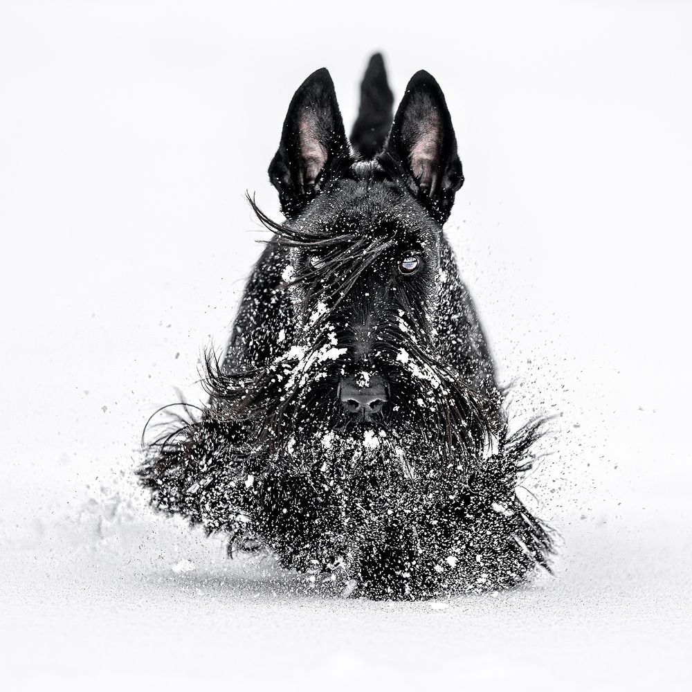 Photograph by Оксана Серова