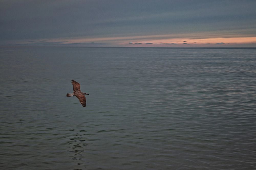 Photograph by Татьяна Михайловна